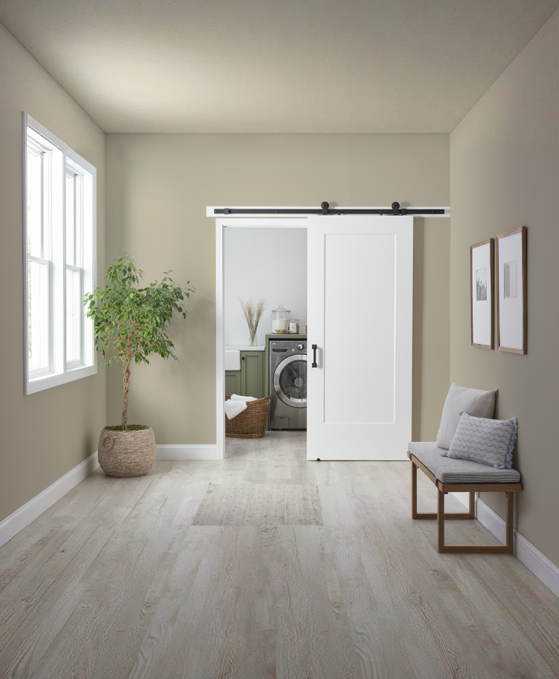 1-Panel Barn Door, HomeStory Doors