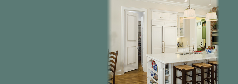 Kitchen Door Replacement Mountain View